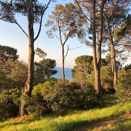 Le Petit Bois A La Presqu'ile De Giens ! Lejlighed