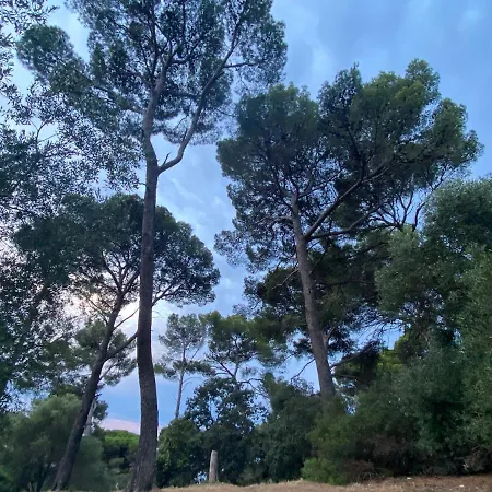 Lejlighed Le Petit Bois A La Presqu'ile De Giens ! Hyères