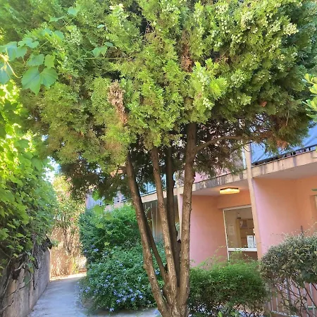 Le Petit Bois A La Presqu'ile De Giens ! * Hyeres